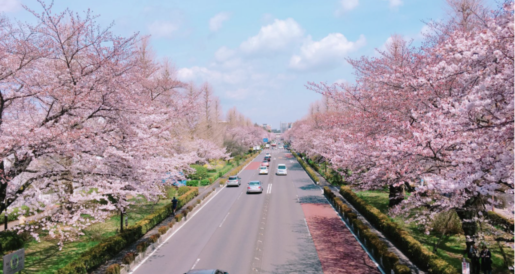 一橋大学への道路