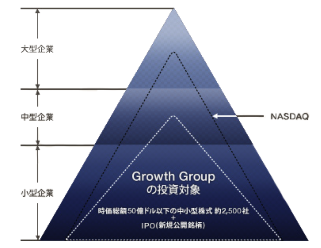 厳選米国中小型成長株式ファンドがターゲットとする銘柄群